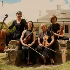 Business 2 image FOUR SEASONS STRING QUARTET Wedding Music & Entertainment in Melbourne* VIC