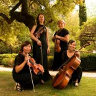 Business 1 image FOUR SEASONS STRING QUARTET Wedding Music & Entertainment in Melbourne* VIC