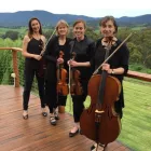 Business 4 image FOUR SEASONS STRING QUARTET Wedding Music & Entertainment in Melbourne* VIC