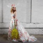 Business 2 image FREELANCE PHOTOGRAPHER MELBOURNE Photographers in Collingwood VIC