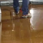 Business 3 image FRESH FLOOD DAMAGE RESTORATION PERTH Carpet Cleaning & Protection in Perth WA