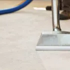 Business 2 image FRESH & HEALTHY CARPET CLEANING NORTHERN BEACHES Home Cleaning in Brookvale NSW