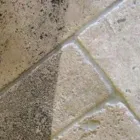 Business 7 image FRESH & HEALTHY CARPET CLEANING NORTHERN BEACHES Home Cleaning in Brookvale NSW