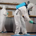 Business 1 image FRONTLINE PEST CONTROL PERTH Pest Inspection in Perth WA