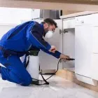 Business 1 image FRONTLINE WASP REMOVAL SYDNEY Wasp Removal Services in Sydney NSW