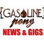 Business 7 image GASOLINE PONY Bars in Marrickville NSW
