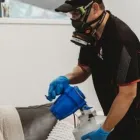 Business 1 image GC PEST CONTROL Pest Control in Molendinar QLD