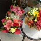 Business 1 image GLORIOSA GARDEN Gift Shops in Ivanhoe VIC