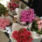 Business 3 image GLORIOSA GARDEN Gift Shops in Ivanhoe VIC