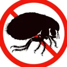 Business 6 image GOODE PEST CONTROL BRISBANE Pest Control in Brisbane QLD
