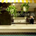 Business 1 image GREEN DESIGN INDOOR PLANT HIRE Material Handling Equipment Supplier in Sydney NSW