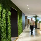 Business 2 image GREEN DESIGN INDOOR PLANT HIRE Material Handling Equipment Supplier in Sydney NSW