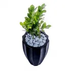 Business 3 image GROLIFE ECO-PRODUCTS Landscape Supplies in Loganholme QLD