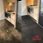 Business 1 image HAMILL FLOORS Wool Carpet in Moorabbin VIC