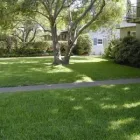 Business 1 image HANCEYS TURF Turf Prices in Boondall QLD