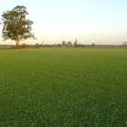 Business 5 image HANCEYS TURF Turf Prices in Boondall QLD