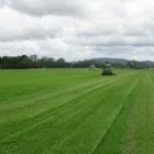 Business 17 image HANCEYS TURF Turf Prices in Boondall QLD