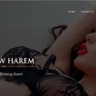 Business 1 image HAREM BROTHEL MELBOURNE Adult Services & Entertainment in South Melbourne VIC