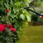 Business 6 image HILLS PEST CONTROL PROS Pest Exterminator in Castle Hill NSW