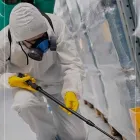 Business 4 image HILUX PEST CONTROL Wasp Nest Removal Melbourne in Truganina VIC