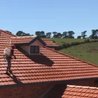 Business 1 image HIMALAYAS SERVICES GROUP Window Cleaning in Ashwood VIC