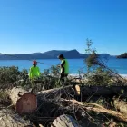 Business 3 image HOBART ARBOR CO. Tree Removal Service in Hobart TAS
