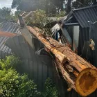 Business 1 image HOBART ARBOR CO Tree Felling & Stump Removal in Hobart TAS