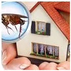 Business 3 image HOME PEST CONTROL BRISBANE Pest Control in Brisbane QLD