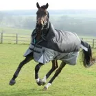 Business 6 image HORSELAND Stable Equipment for Horses in Ringwood VIC