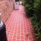 Business 1 image HURRICANE MAINTENANCE Epoxy Flooring in Buderim QLD