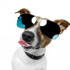 Business 2 image HYPERACTIVE DIGITAL Website Design in Perth WA