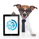 Business 3 image HYPERACTIVE DIGITAL Website Design in Perth WA