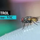 Business 3 image I FLIES CONTROL MELBOURNE Pest Inspection in Melbourne VIC