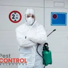 Business 4 image I FLIES CONTROL MELBOURNE Pest Inspection in Melbourne VIC