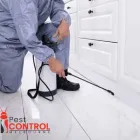 Business 7 image I FLIES CONTROL MELBOURNE Pest Inspection in Melbourne VIC
