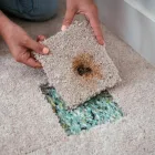 Business 3 image INVISIBLE CARPET REPAIR CANBERRA Carpet Repair in Belconnen ACT