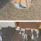 Business 1 image INVISIBLE CARPET REPAIR PERTH Residential Carpet Repair in Perth WA