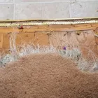 Business 3 image INVISIBLE CARPET REPAIR PERTH Residential Carpet Repair in Perth WA