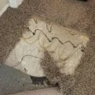 Business 4 image INVISIBLE CARPET REPAIR PERTH Residential Carpet Repair in Perth WA