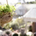 Business 1 image IRIS MANOR Aged Care Services & Homes in Ashburton VIC