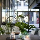 Business 2 image IVORY HEART Weddings in Melbourne VIC