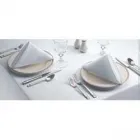 Business 3 image JD LAUNDRY & LINEN HIRE Matting in Marrickville NSW