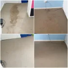 Business 7 image JIM'S CARPET CLEANING CASTLE HILL Upholstery Cleaning Service in Castle Hill NSW