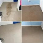 Business 8 image JIM'S CARPET CLEANING GOSFORD Upholstery Cleaning Service in Wyee Point NSW