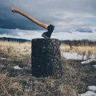 Business 3 image JORDANS TREE SERVICES Tree & Stump Removal Services in Port Kennedy WA