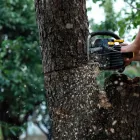 Business 4 image JORDANS TREE SERVICES Tree & Stump Removal Services in Port Kennedy WA