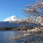 Business 5 image JOURNEY TO THE EAST tours of japan in Milton QLD