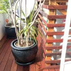 Business 1 image JOYE TIMBER SUTHERLAND PTY LTD Timber Supplies in Auburn NSW