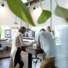 Business 5 image JUNO CREATIVE Website Developer in Melbourne VIC