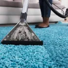 Business 1 image KANGAROO CARPET CLEANING BRISBANE Carpet Cleaning & Protection in Brisbane QLD